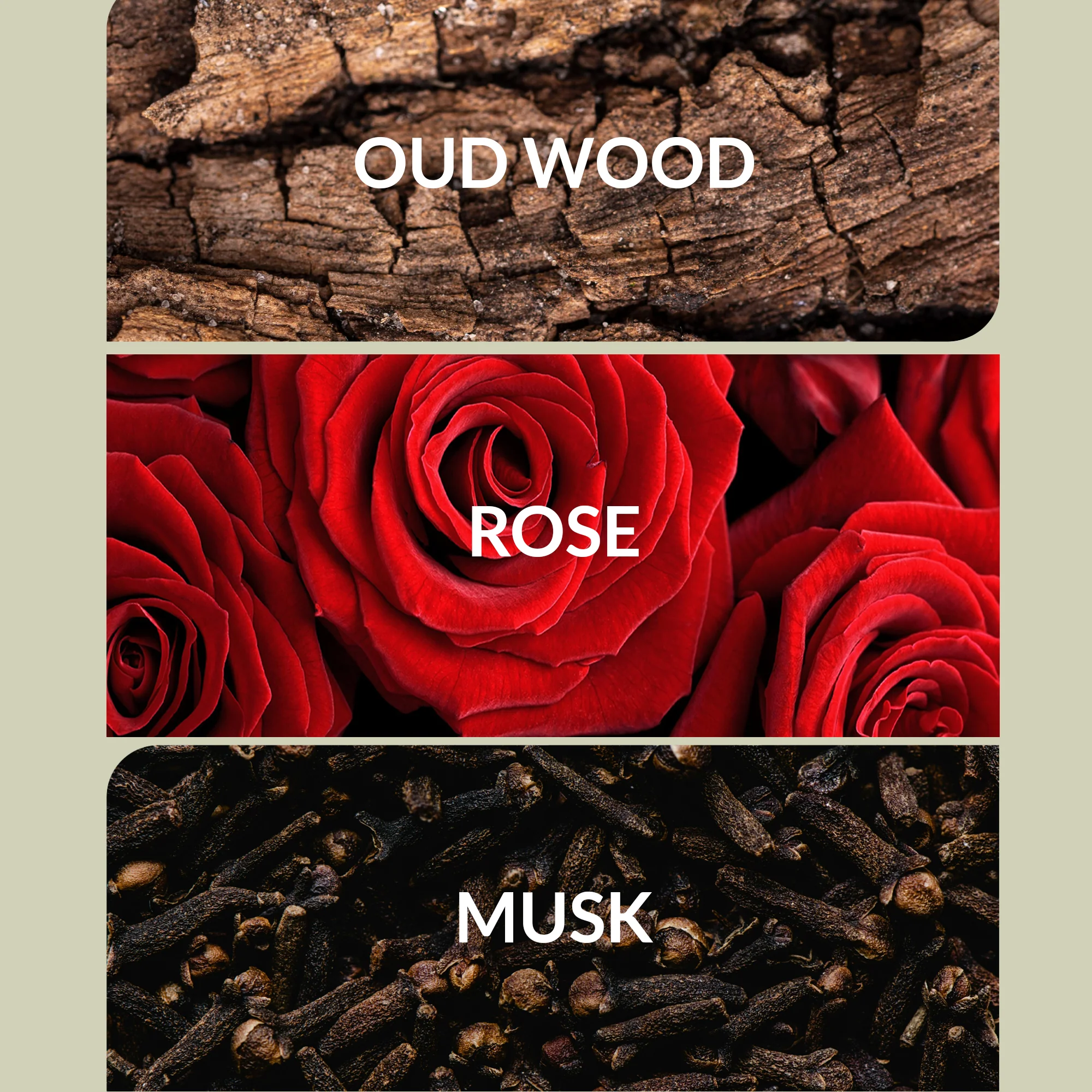 Desert Rose™ - Image 6